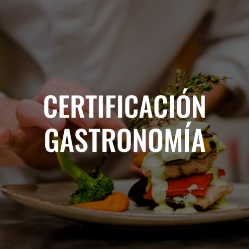 certificación gastronomía curso escuela